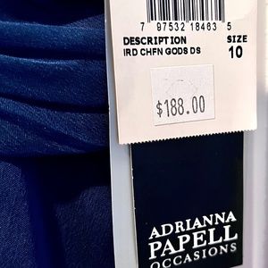 Gorgeous Adriana Papell dress with three rosettes